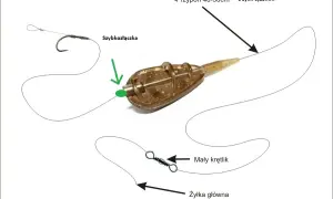 Jak zamontować koszyczek zanętowy - uniknij najczęstszych błędów